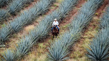 La magia de Jalisco: De visita en Tequila y San Sebastián del Oeste