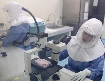 El 60% de los casos del mes pasado se produjeron en el continente americano, dijo la OMS, y el 38% en Europa. EFE / ARCHIVO