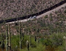 Los bebés fueron encontrados en el Parque Nacional del Cactus de Tubo de Órgano. AP/ARCHIVO