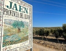 Sequía devasta el "jardín de Europa" y dispara los precios del aceite de oliva
