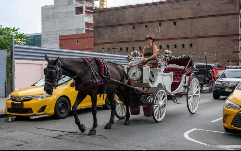 Los operadores dicen que los caballos están bien cuidados y señalan que la industria está regulada por la ciudad. AFP/A. Weiss