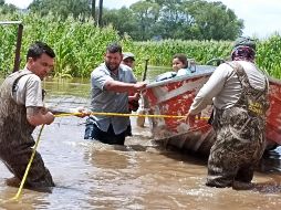 Los municipios que reportan más afectaciones a nivel estatal son Tepatitlán, San Miguel el Alto y Valle de Guadalupe. ESPECIAL