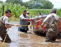 Los municipios que reportan más afectaciones a nivel estatal son Tepatitlán, San Miguel el Alto y Valle de Guadalupe. ESPECIAL