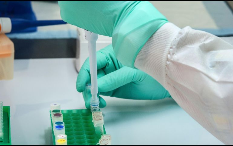 La viruela del mono tiene una duración promedio de 21 días y se transmite principalmente por contacto con personas enfermas. ESPECIAL/Foto de CDC en Unsplash