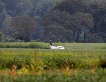 El piloto de la avioneta, identificado como Corey Wayne Patterson, será acusado de hurto mayor y amenazas terroristas. AP/N. Boertman