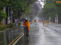 Se prevén vientos con rachas de 60 a 80 km/h en el litoral de Jalisco y Oaxaca. EL INFORMADOR / ARCHIVO