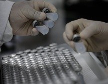 La vacuna del mono sería para aplicarla a los contactos de una persona que se haya contagiado. EFE/ ARCHIVO