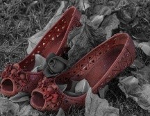 Los hechos sucedieron este sábado en la aldea de Touj, en la provincia de Menufiya. PIXABAY