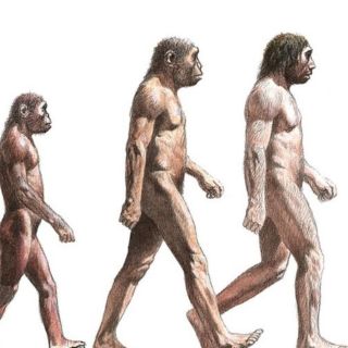 ¿Cómo hablaban los seres humanos en la Edad de Piedra?