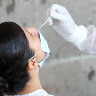 COVID suma 8 semanas de "franca reducción": López-Gatell