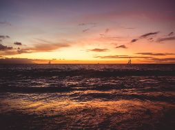 Photo by Jorge Bermudez on Unsplash