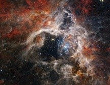 Nebulosa apodada Tarántula,  es un ejemplo fácilmente visible de este floreciente período de creación cósmica. ESPECIAL