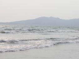 La Fiscalía de Jalisco y el Servicio Médico Forense se encargaron de trasladar el cuerpo a la morgue. EL INFORMADOR / ARCHIVO