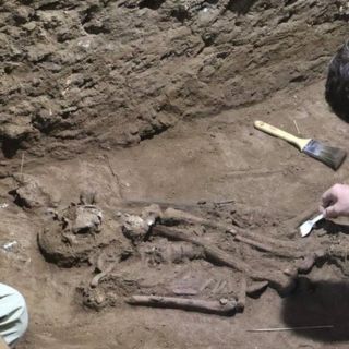 Descubren que los humanos hacían cirugías hace 31.000 años