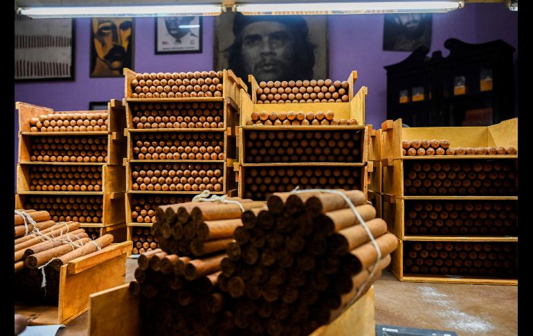 En las instalaciones de El Laguito nació Cohiba, la marca más exquisita del tabaco cubano. AFP/Y. Lage