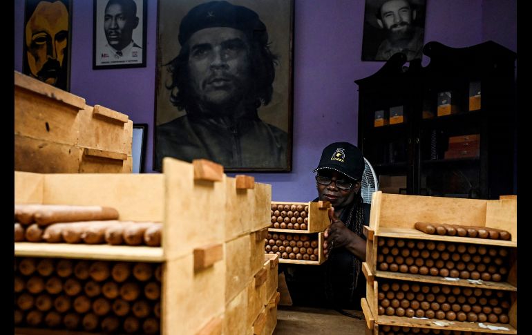 En las instalaciones de El Laguito nació Cohiba, la marca más exquisita del tabaco cubano. AFP/Y. Lage