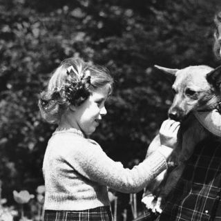 Isabel II: ¿Qué pasará con los corgis de la monarca británica?
