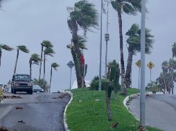 Los fuertes vientos impactan en Los Cabos. EFE/J. Reyes