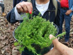 Los recorridos pueden durar hasta dos horas y media, dependiendo de diferentes elementos del espacio para generar una experiencia sensorial y positiva. EL INFORMADOR/A. Navarro