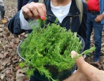 Los recorridos pueden durar hasta dos horas y media, dependiendo de diferentes elementos del espacio para generar una experiencia sensorial y positiva. EL INFORMADOR/A. Navarro