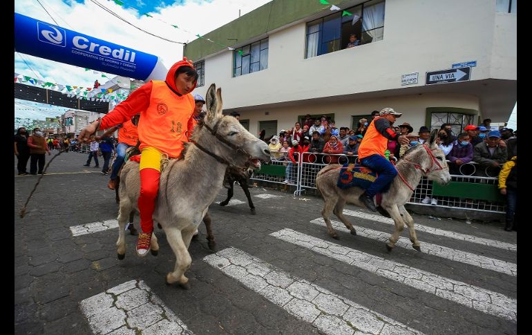 La competencia, interrumpida por la pandemia de COVID, volvió con fuerza en homenaje a los asnos, que están en peligro de extinción. EFE/J. Jácome