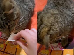 Dicho clip fue compartido hace unos días y hasta el momento cuenta con más de seis millones de reproducciones. ESPECIAL