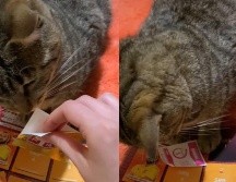 Dicho clip fue compartido hace unos días y hasta el momento cuenta con más de seis millones de reproducciones. ESPECIAL