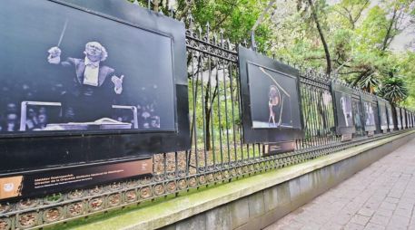 En el evento, que se llevó a cabo en el Jardín Botánico del Bosque de Chapultepec, se presentaron también los ‘50 de Cervantes’, proyecto especial que consistente en 50 cápsulas audiovisuales de 50 segundos de duración cada una. CORTESÍA / Secretearía de Cultura