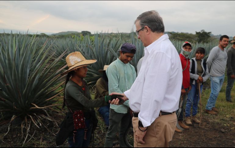 EL INFORMADOR / A. Navarro