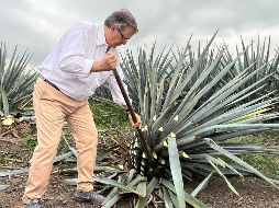 EL INFORMADOR / A. Navarro