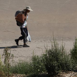 Veracruz: Autoridades detienen a 285 migrantes en cuatro municipios de la Entidad