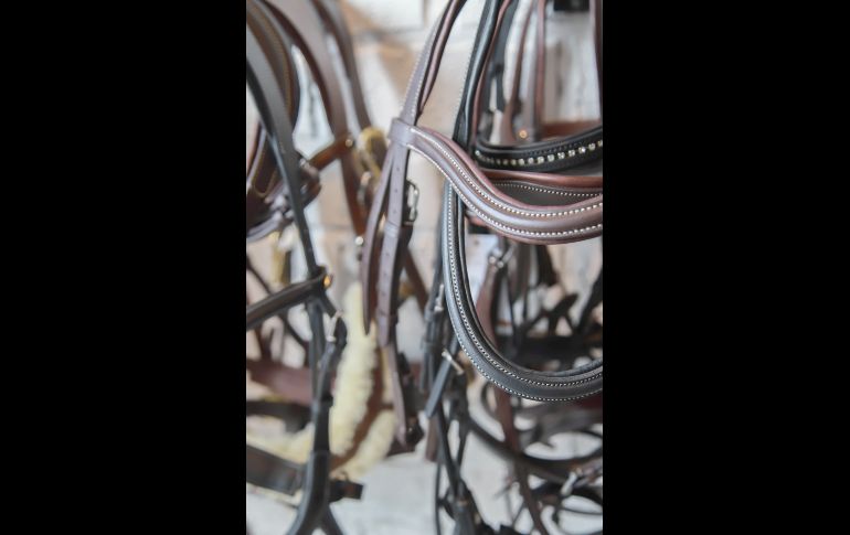 Aspecto. GENTE BIEN JALISCO/Antonio Martínez