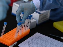 La OMS constató la ineficacia de los tratamientos frente a las variantes de COVID actualmente en circulación. AFP/Y. Cortez