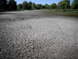 Algunos de los fenómenos ambientales a destacar son las múltiples inundaciones, el aumento del nivel del mar, incendios forestales y sequías. EL INFORMADOR/ Archivo