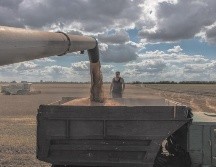 La ciudad de Obukhiv, en la región de Kiev, es una de principales áreas de siembra de granos. EFE