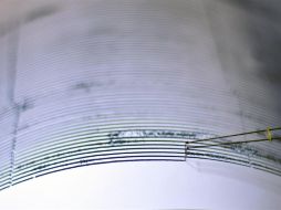 Hasta ahora, detallan, se tiene el registro de 600 mil personas participantes para el siguiente macrosimulacro. EFE/ARCHIVO