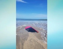 Las autoridades continúan en la zona realizando maniobras para retirar las unidades. ESPECIAL