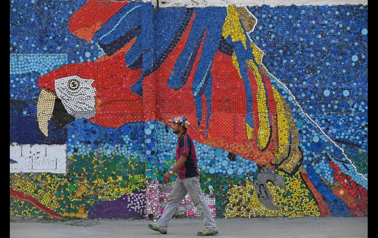 Cuatro guacamayas rojas en vuelo y un turpial, el ave nacional de Venezuela, son motivos estrella en la obra. AFP/F. Parra