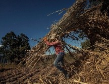 Las entrevistas se aplicarán por medio de dispositivos de cómputo móvil e Internet. EL INFORMADOR/ARCHIVO