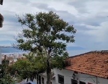 Aunque la Oficina Nacional de Administración Oceánica y Atmosférica (NOAA) de Estados Unidos emitió una alerta de tsunami para las costas de México en el Pacífico, Protección Civil de Jalisco ha desmentido que exista  riesgo de Tsunami. Imagen: Captura de pantalla