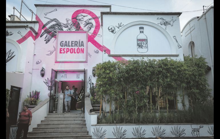 Aspecto. GENTE BIEN JALISCO/Jorge Soltero