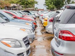 Otra medida de la Federación es dar facilidades administrativas para la expedición de placas. AFP/Y. Folly