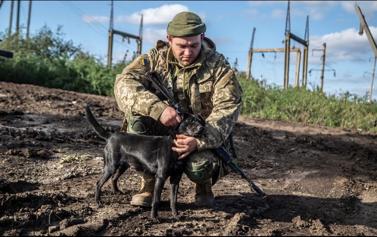 Un soldado ucraniano acaricia a un perro en el área recientemente recuperada de Izium. AP/O. Ratushniak
