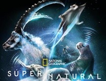 “Super/Natural” ya está disponible en Disney+. ESPECIAL/THE WALT DISNEY COMPANY MÉXICO.
