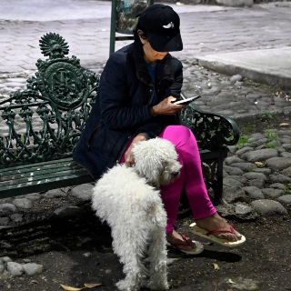 ¿Cuántas réplicas van además de la de esta madrugada?