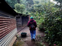 Señalan que los factores estructurales como la desigualdad y el rezago social propician que esta población esté más expuesta al reclutamiento por parte del crimen organizado o por grupos armados o delincuenciales. EFE / ARCHIVO