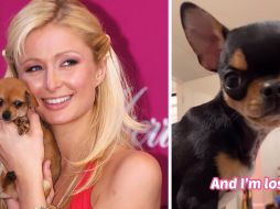Paris Hilton contrata a un equipo de detectives, drones y hasta una clarividente para encontrar a su perrita desaparecida. EFE/Mario Guzmán