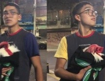 El clip muestra al joven lanzando un chiste sobre el temblor mientras abraza a su gallo. ESPECIAL