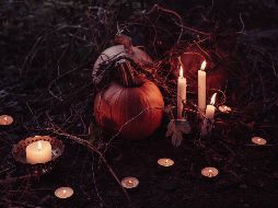 Títulos para todos aquellos amantes del terror y el suspenso. UNSPLASH/ESPECIAL