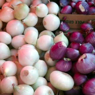 Inflación: ¡Para llorar! La cebolla se vende hasta en 56 pesos en la ZMG